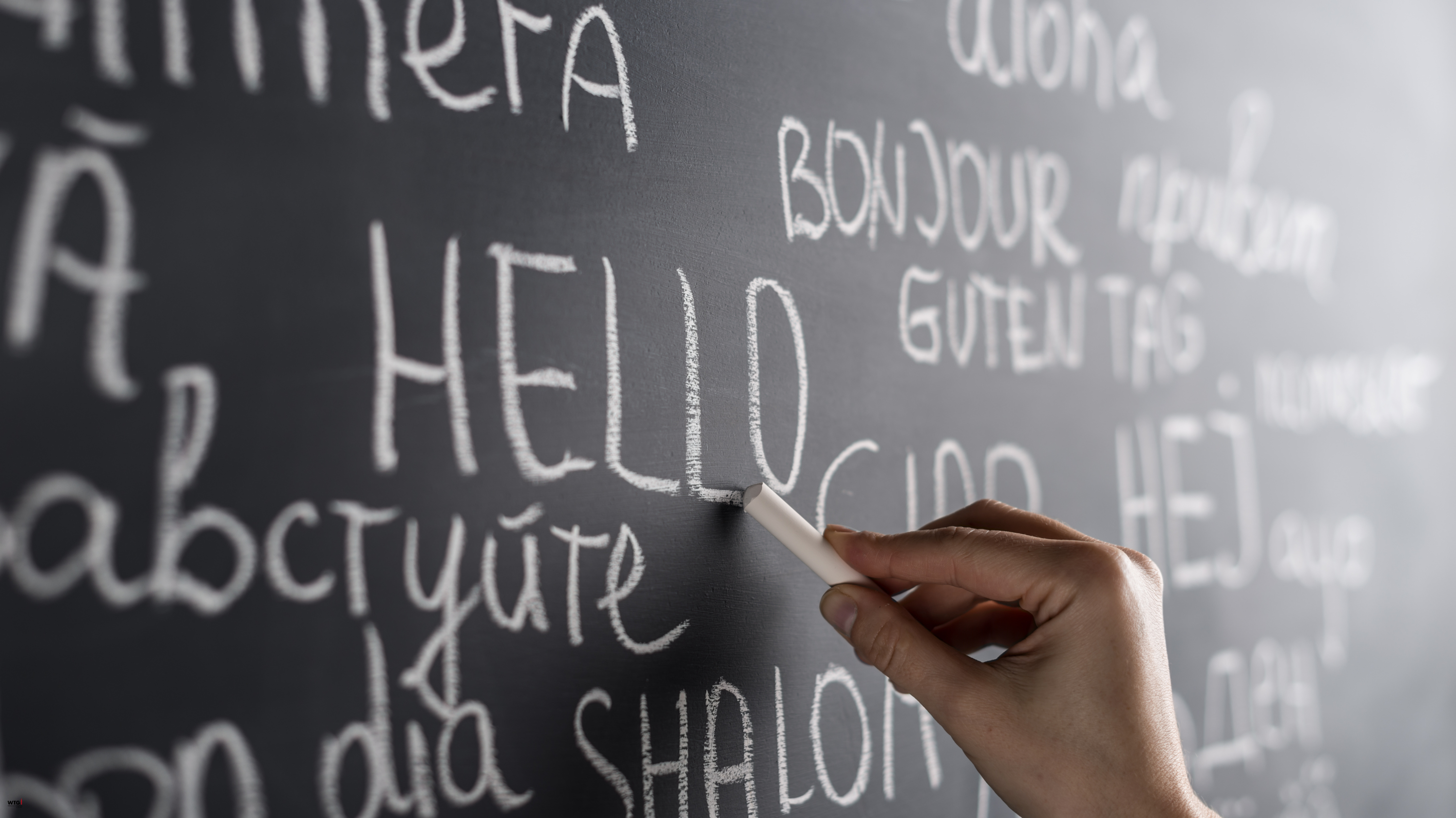 Einfache_Sprache_Header