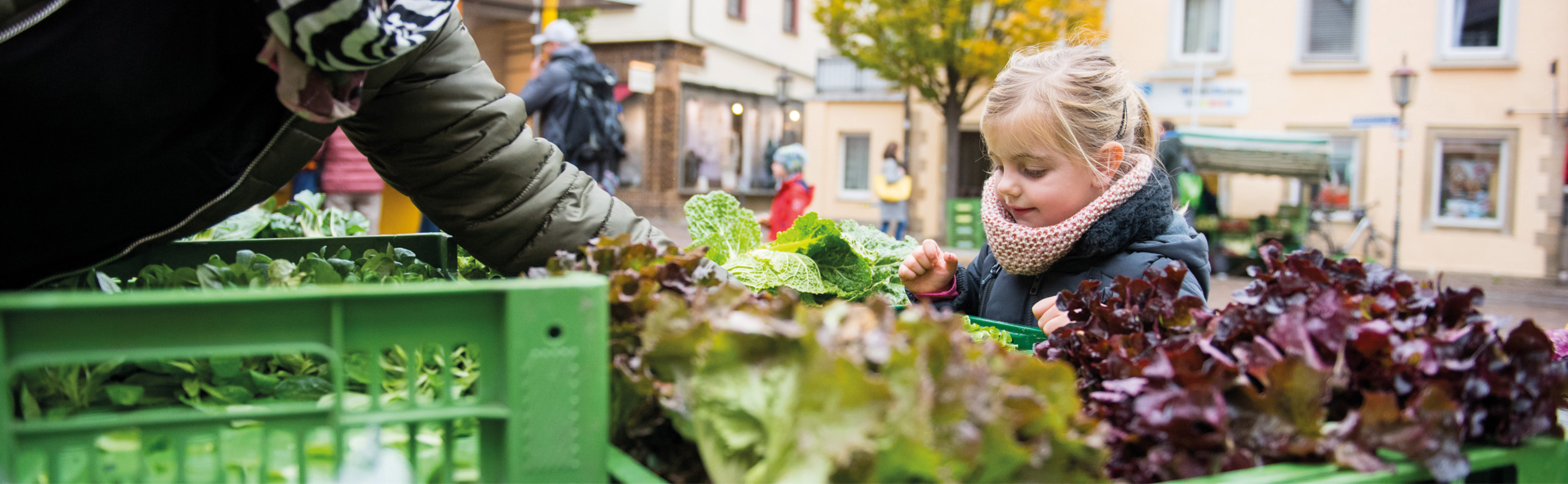 Kind schaut in Salatkiste an Wochenmarktstand