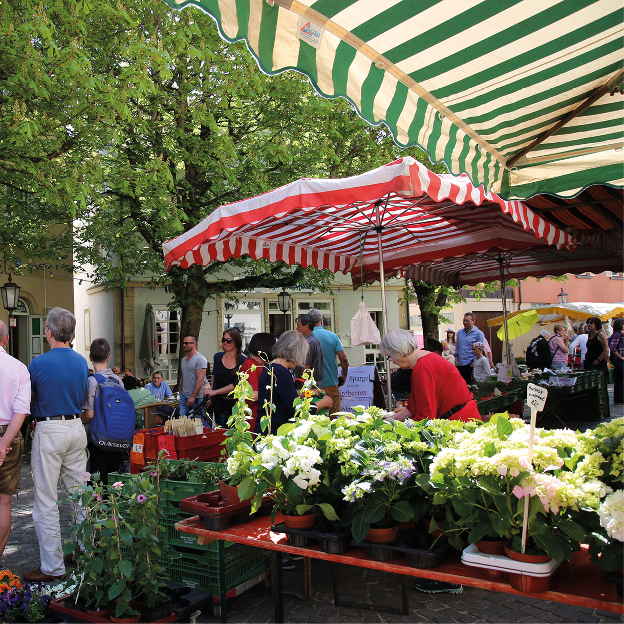 Wochenmarkt-Stand in der Bahnhofstraße