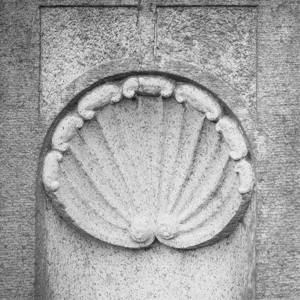 Muschel in Stein gemeißelt