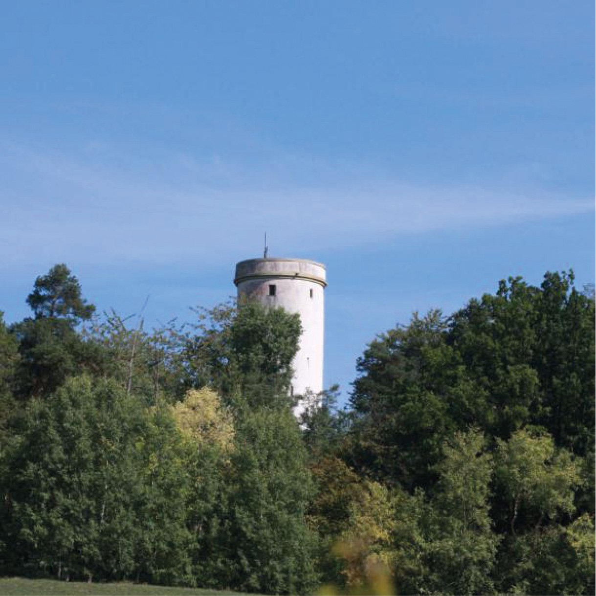 Die Heuberger Warte im Wald