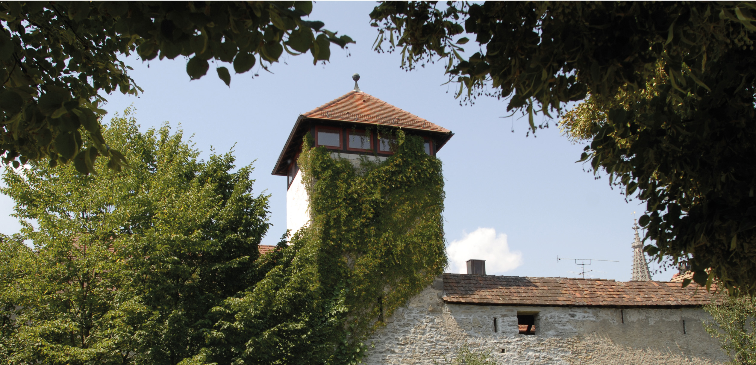 Gaisholzturm mit Efeu