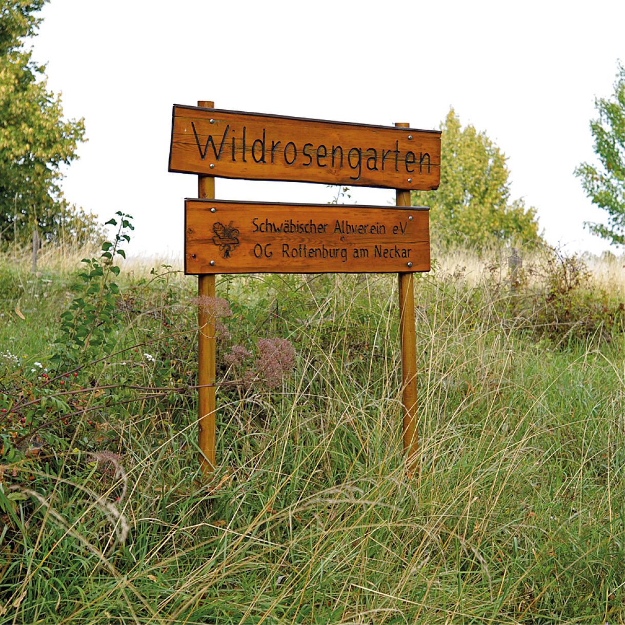 Wildrosengarten Eingang