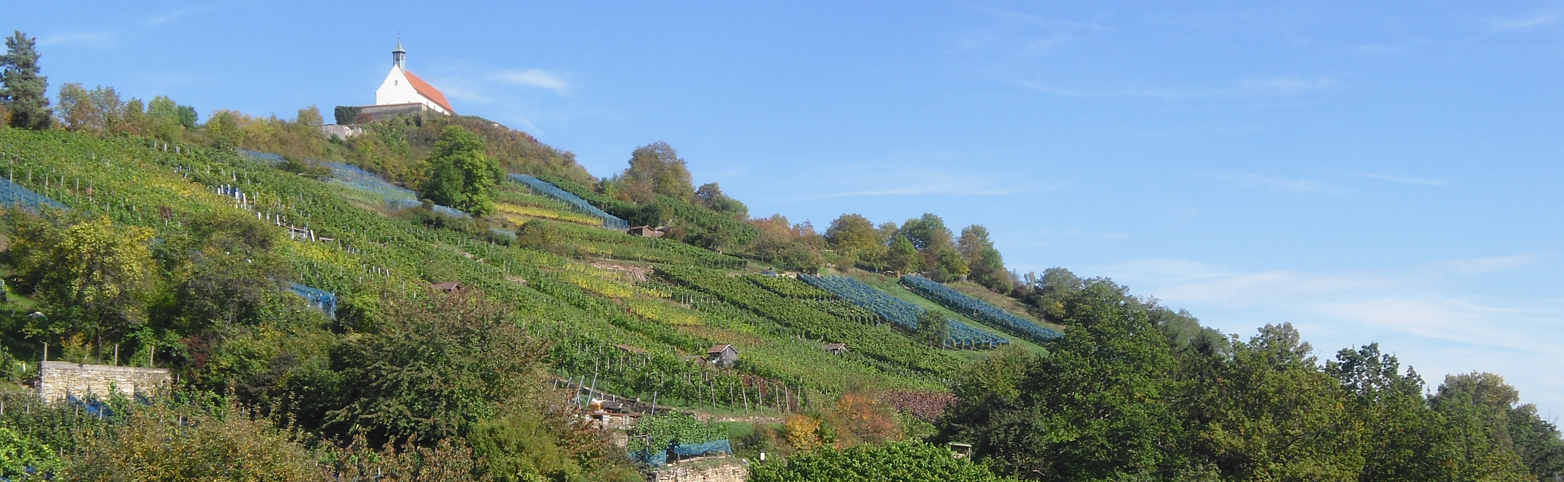 Weinberg und Wurmlinger Kapelle 