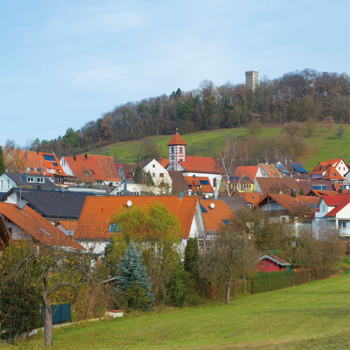 Blick auf Weiler mit Burg im Hintergrund