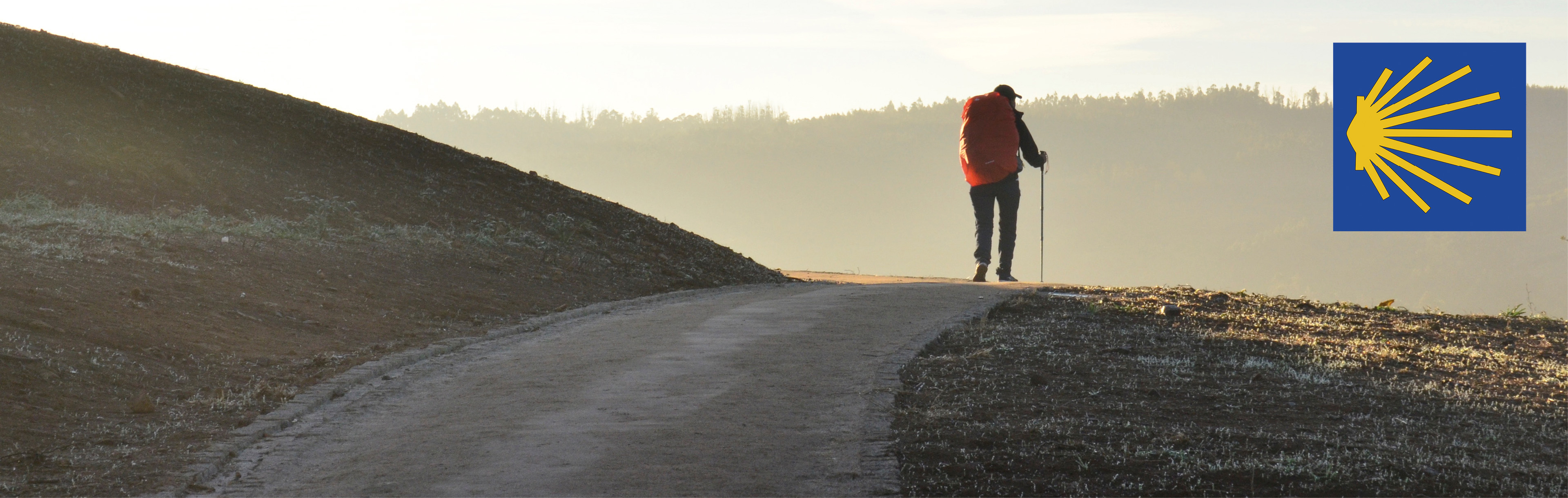 Mann mit Rucksack auf einem Weg