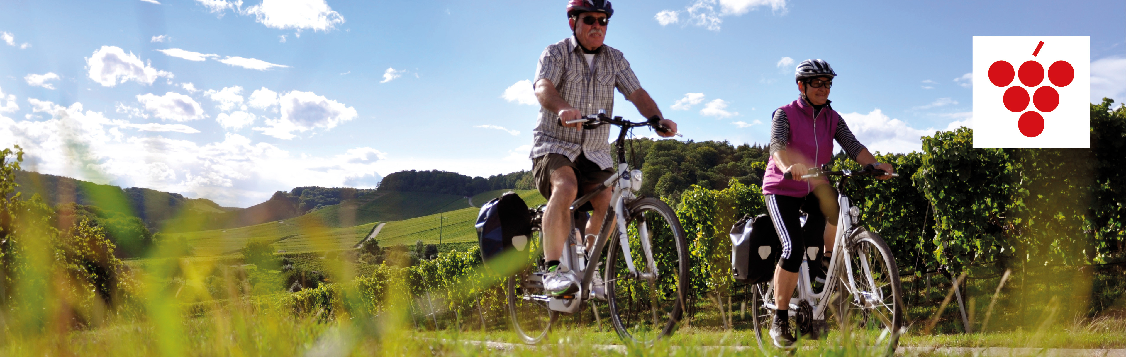 Paar fährt mit dem Rad auf dem Württemberg Radweg vorbei an Weinbergen