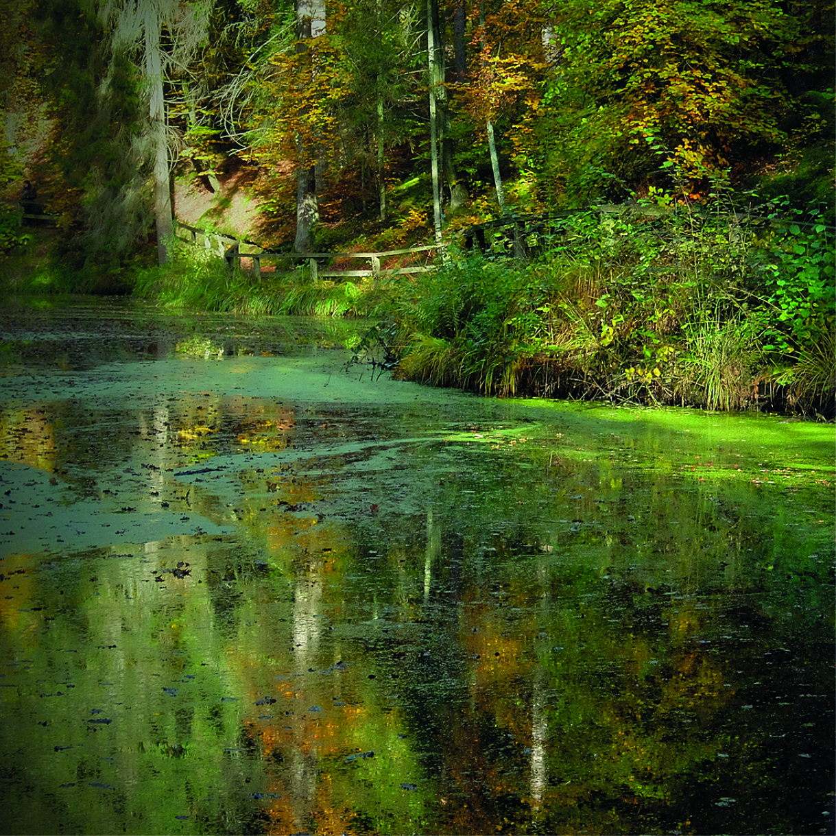 Bilder_TuF_Wandern_MaerchenseeTour