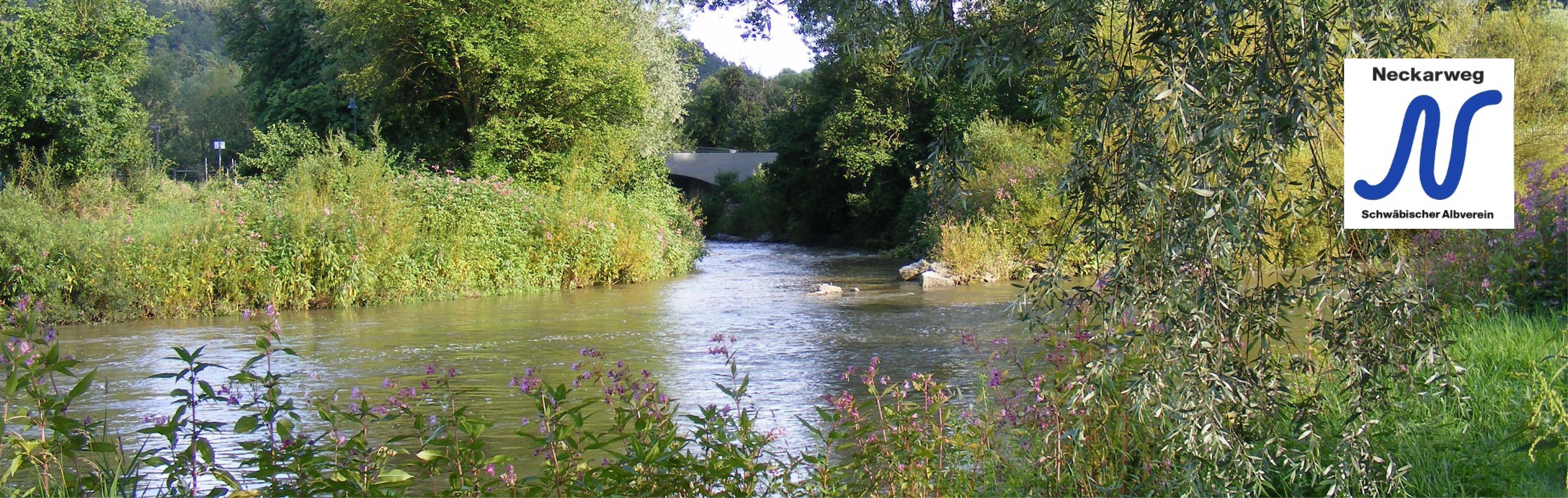 Flussmündung in den Neckar