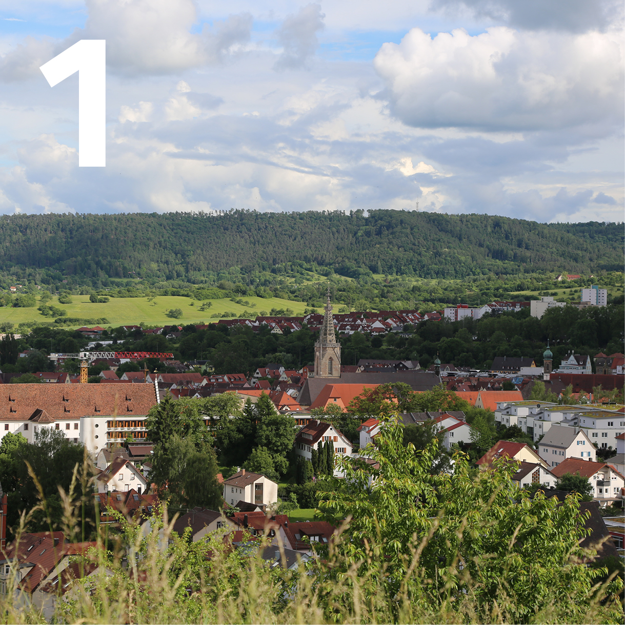 Blick über Rottenburg